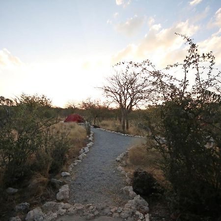 Etosha Village Campsite Okaukuejo Exteriér fotografie