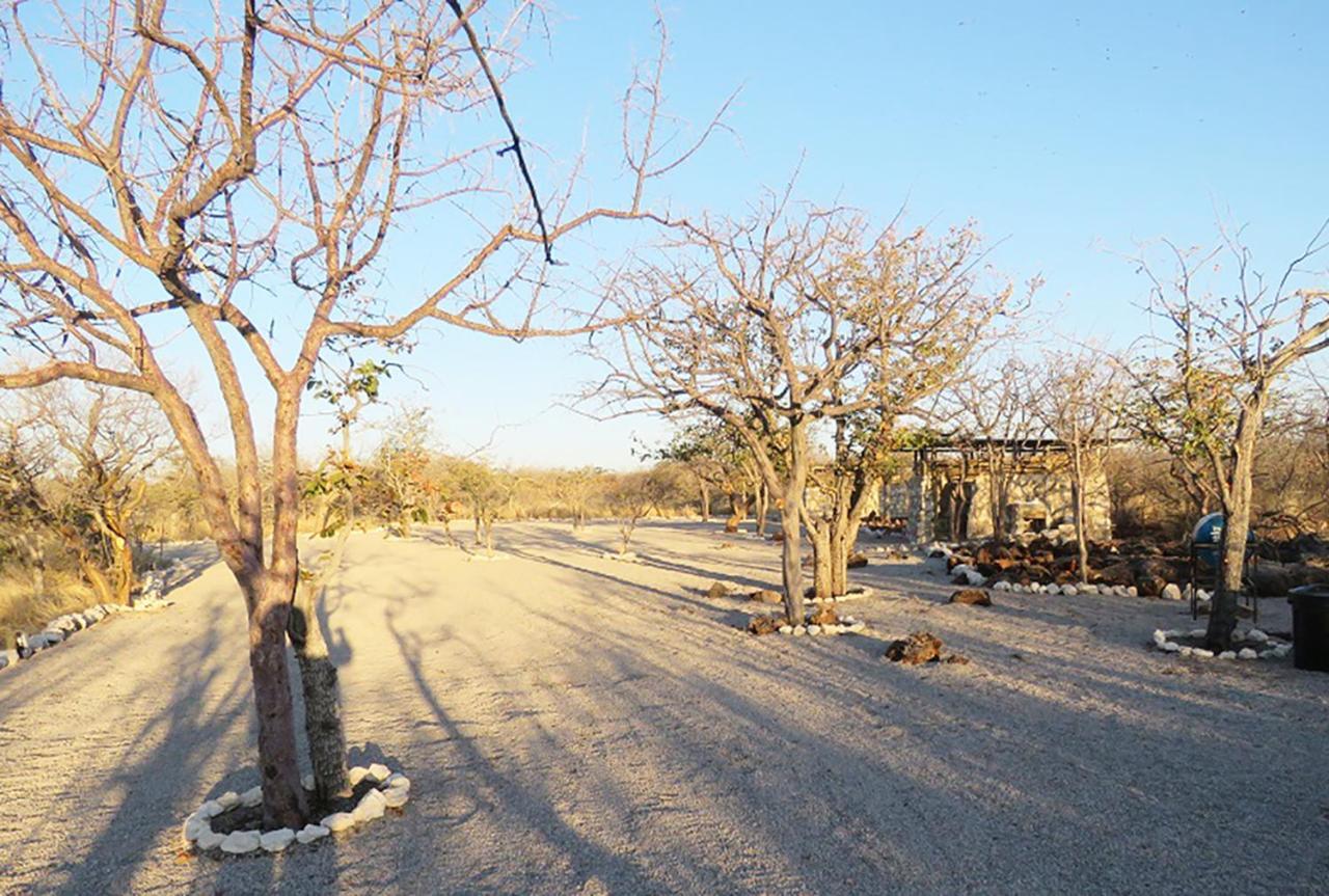Etosha Village Campsite Okaukuejo Exteriér fotografie