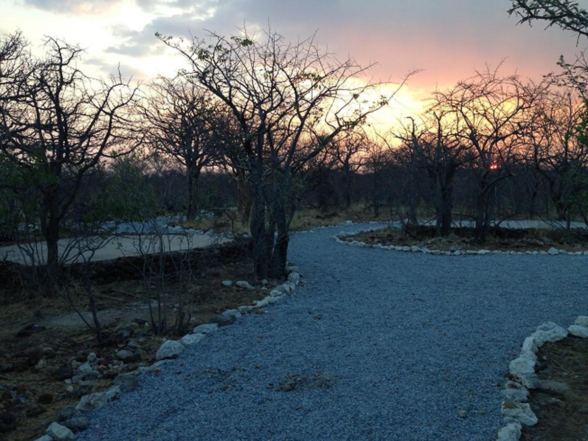 Etosha Village Campsite Okaukuejo Exteriér fotografie