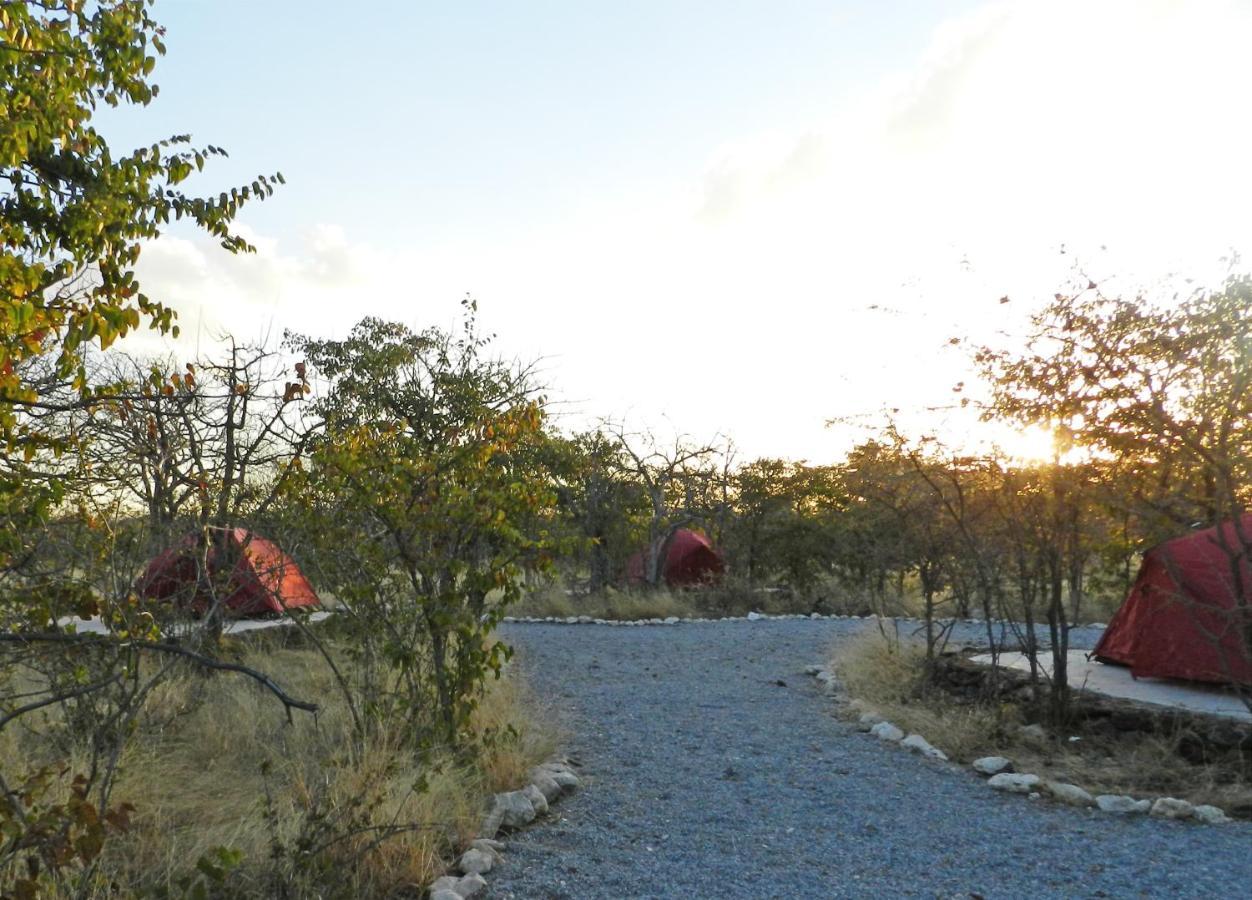 Etosha Village Campsite Okaukuejo Exteriér fotografie