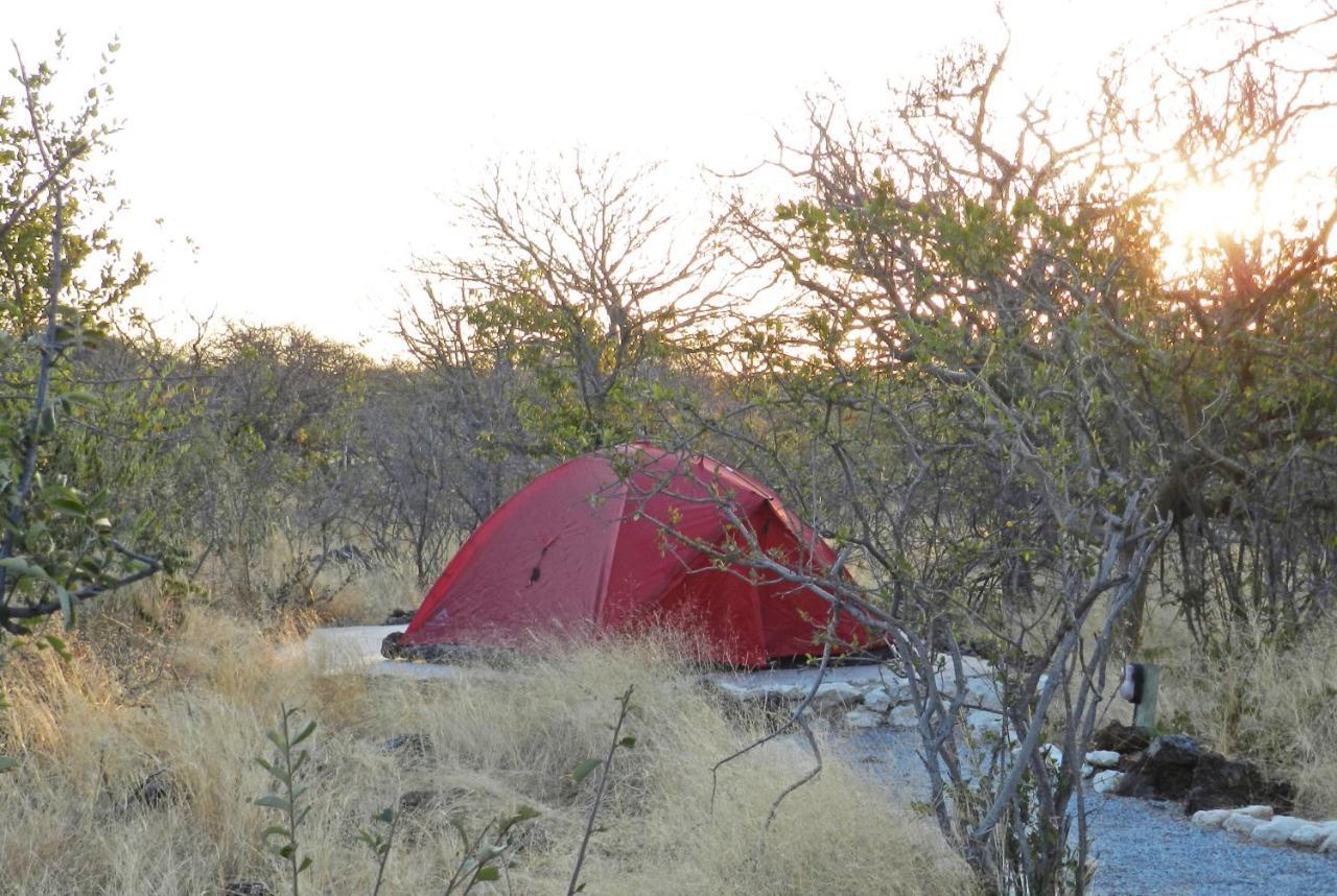 Etosha Village Campsite Okaukuejo Exteriér fotografie
