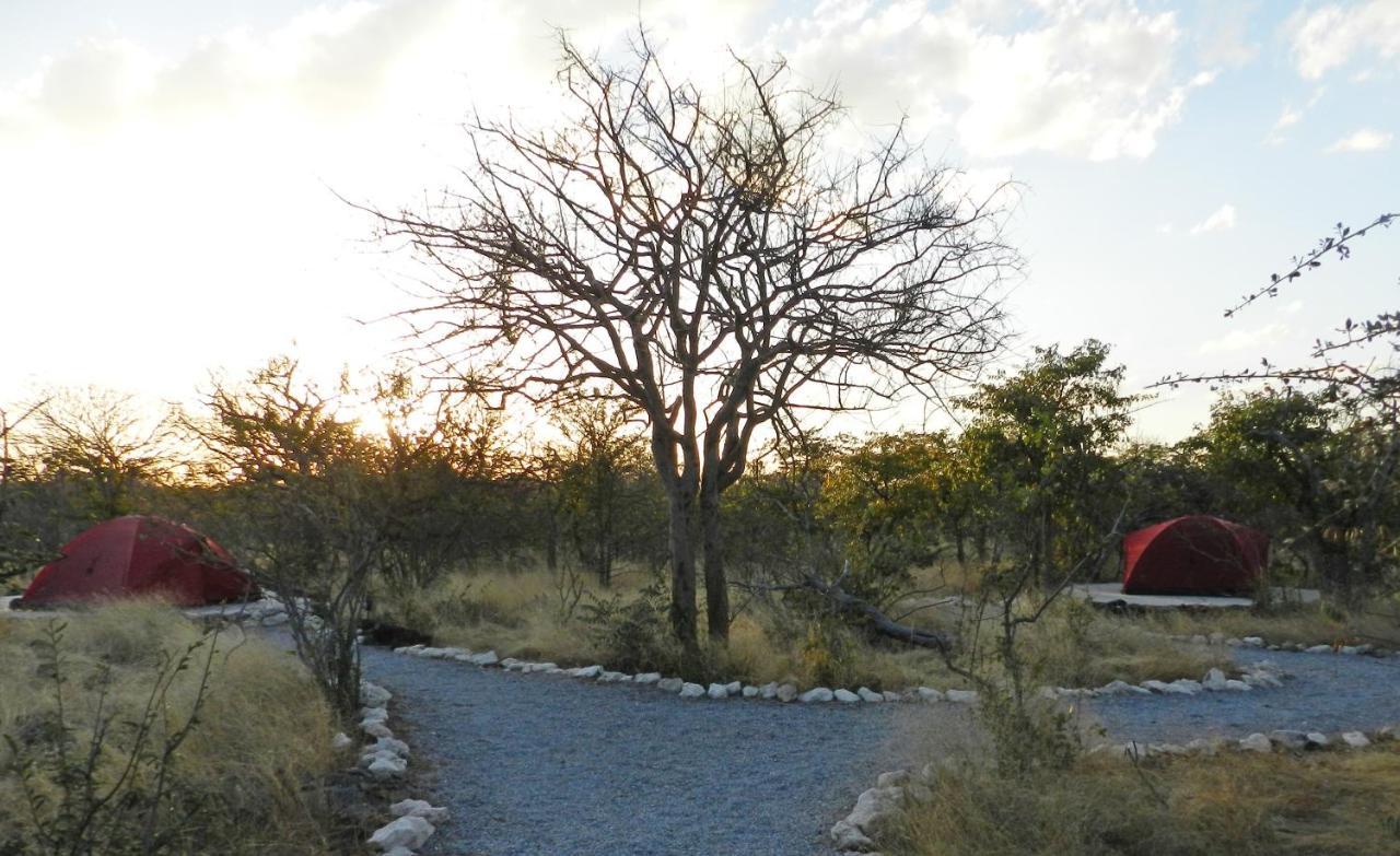 Etosha Village Campsite Okaukuejo Exteriér fotografie